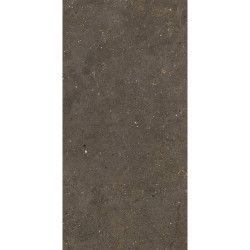 FIANDRE SOLIDA BROWN GAB600C100006 100X100X0,6