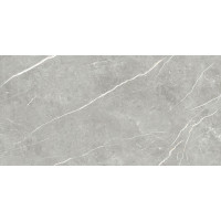 TAU CERAMICA ELITE GRAY PUL 60x120