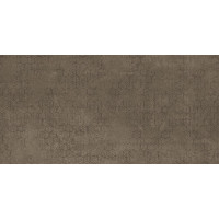 DECORATORI BASSANESI LUCI DI VENEZIA RIFLESSO MUD 60X120