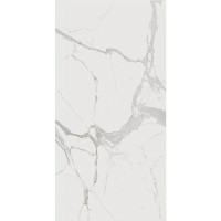 FLORIM GROUP STONE MARBLE STATUARIO A MATT 751320 160X320X1,2