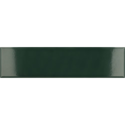 EQUIPE COSTA NOVA LAUREL GREEN GLOSSY 28440 5X20