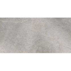 CERRAD MASTERSTONE SILVER 60X120