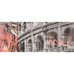 CER-ROL FIBRA ROMA CENTRO MAT 25X60