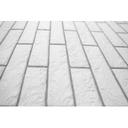 MONOPOLE MURALLA BLANCO 7.5Х28