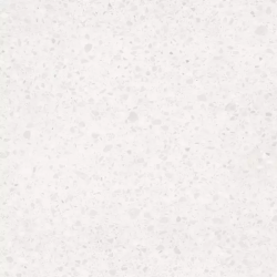 LASSELSBERGER RAKO PORFIDO DAS63810 WHITE 59,8X59,8