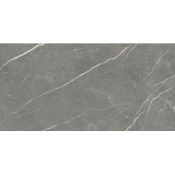 TAU CERAMICA ELITE GRAPHITE MATT REC 60x120