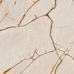 PAMESA CR. LUX NIRVANA GOLD 120x120