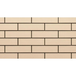 CERRAD KREM ELEWACJA 6.5X24.5