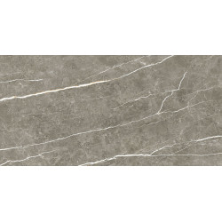TAU CERAMICA ELITE GRAPHITE PUL 60x120