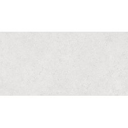 AZUVI SHALEM WHITE MATT RECT 60X120
