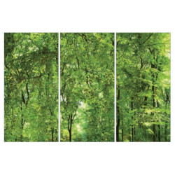 FIANDRE DESIGN YOUR SLABS ACTIVE COMPOSIZIONE NATURE 3 ШТ NAT Y4UP00D453006 150X300X0,6