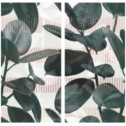 41ZERO42 PAPER41 PRO OLIVIA 50X100
